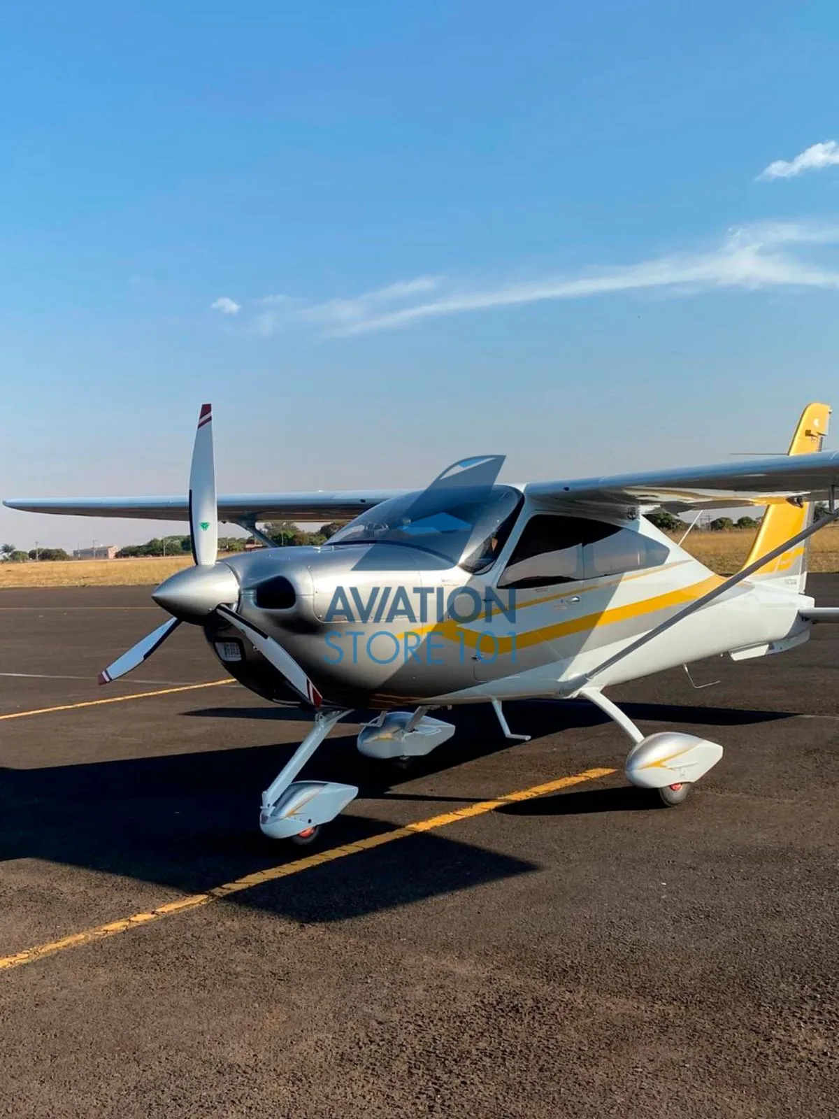 Avião Tecnam P2010 TDI à Venda