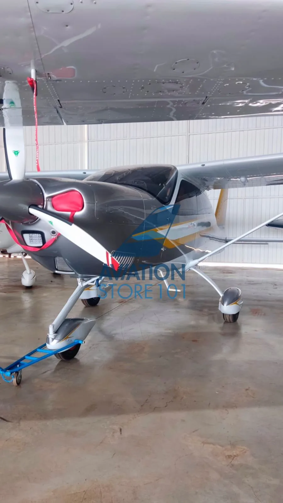 Avião Tecnam P2010 TDI à Venda