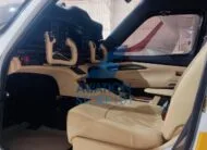 Avião Tecnam P2010 TDI à Venda