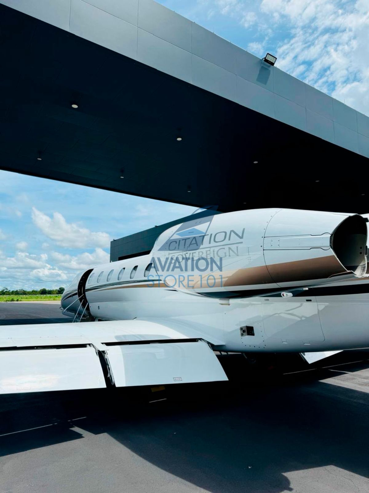 Avião Cessna Citation Sovereign – Ano 2009 à Venda