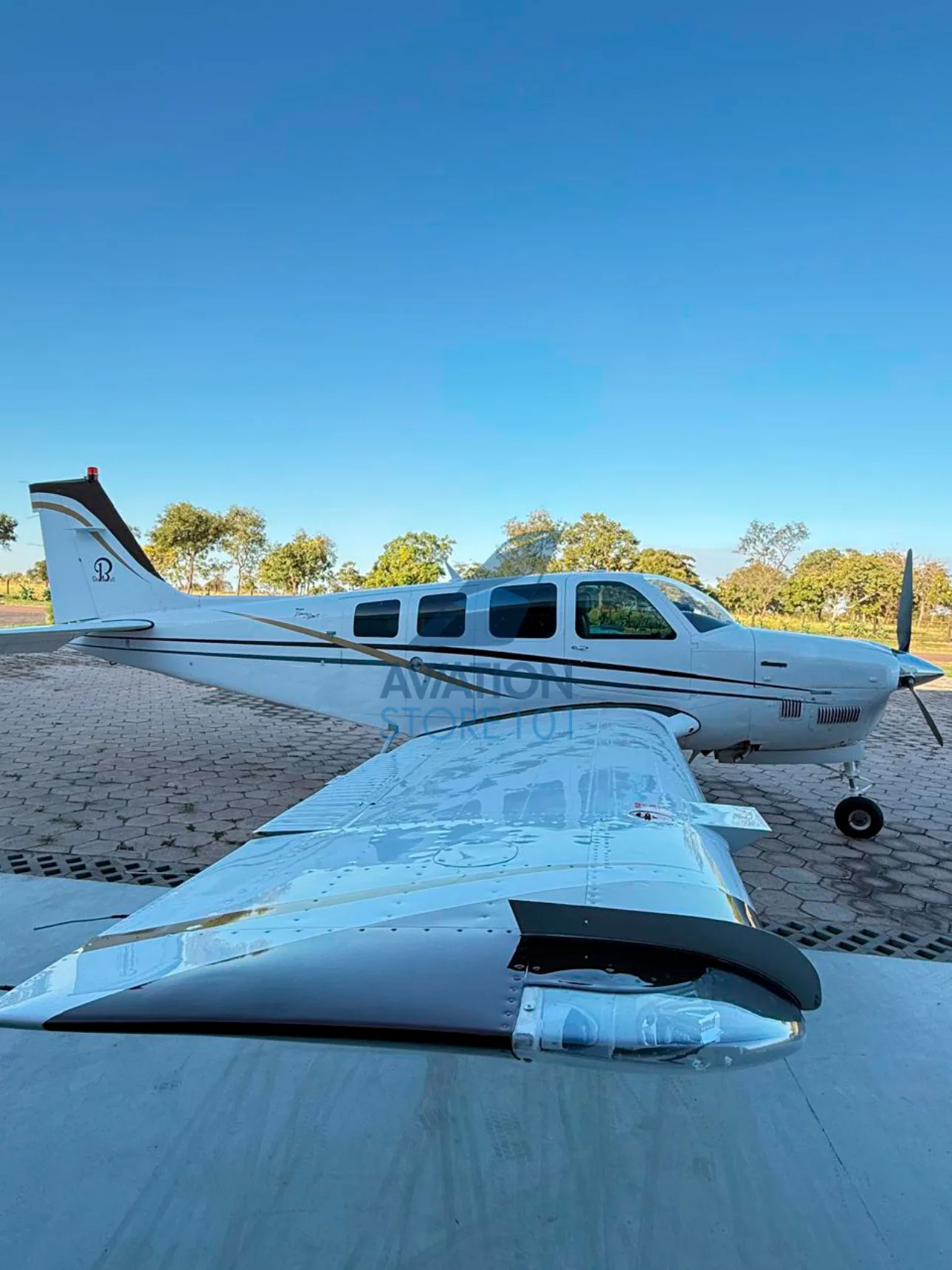 Beechcraft Bonanza B36TC – Ano 1989 à Venda