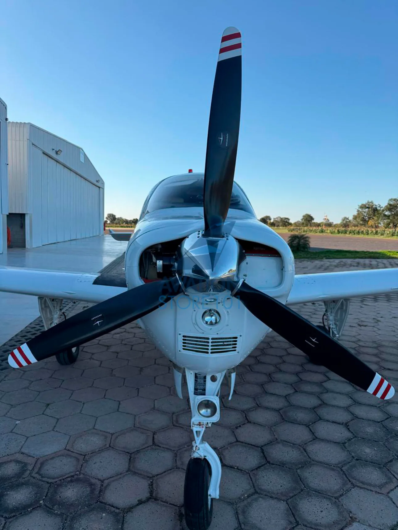 Beechcraft Bonanza B36TC – Ano 1989 à Venda