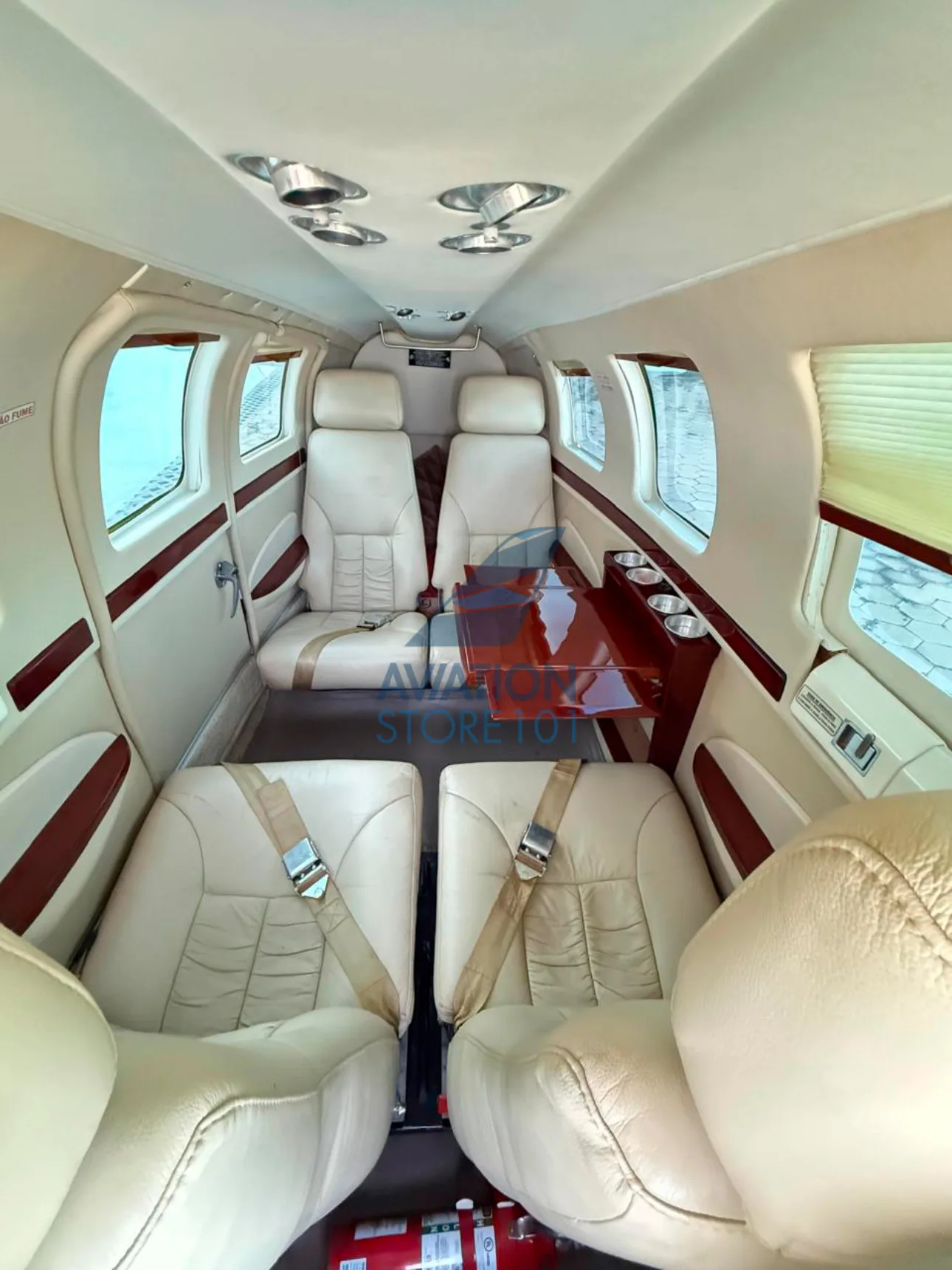 Beechcraft Bonanza B36TC – Ano 1989 à Venda