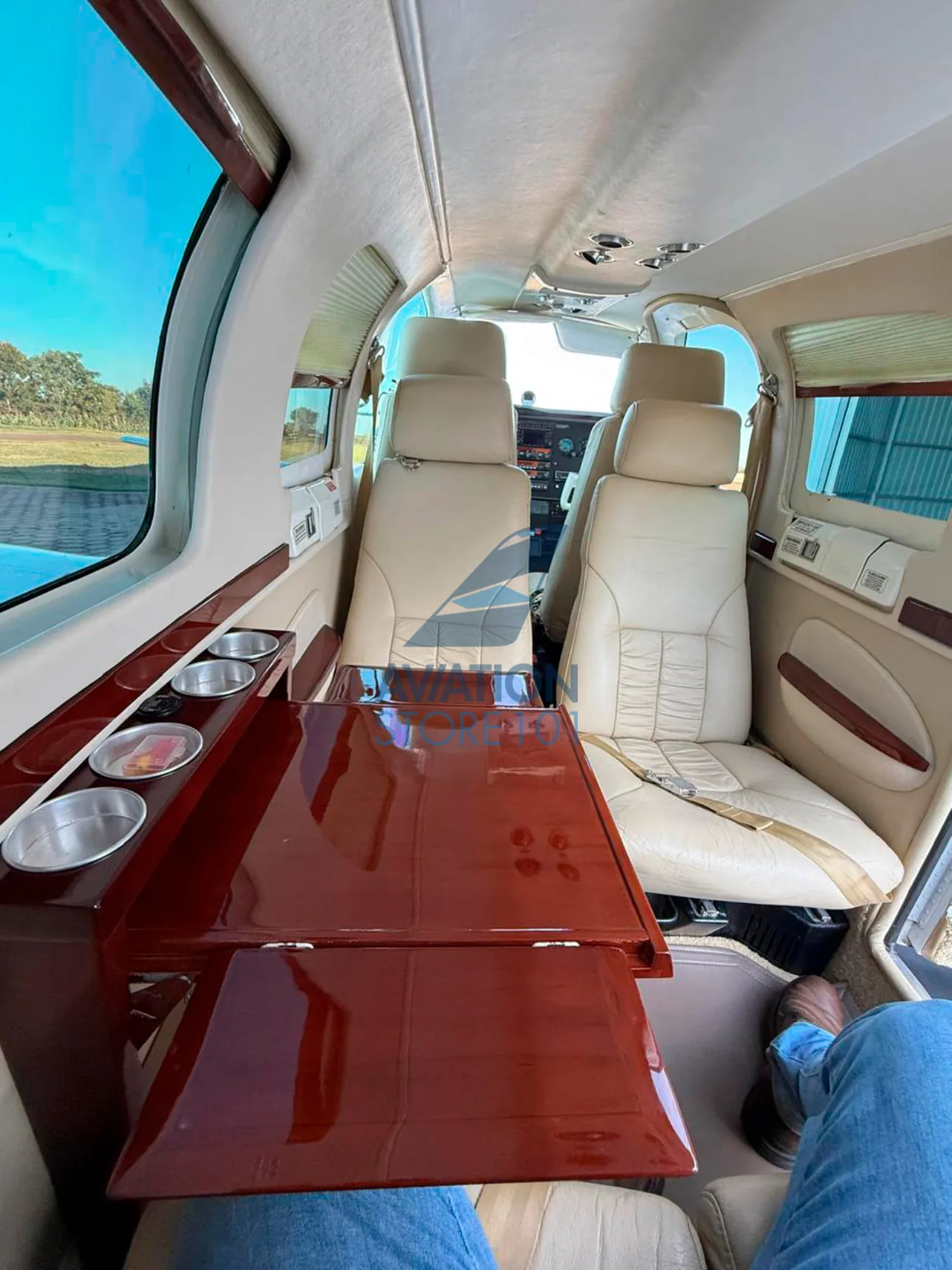Beechcraft Bonanza B36TC – Ano 1989 à Venda