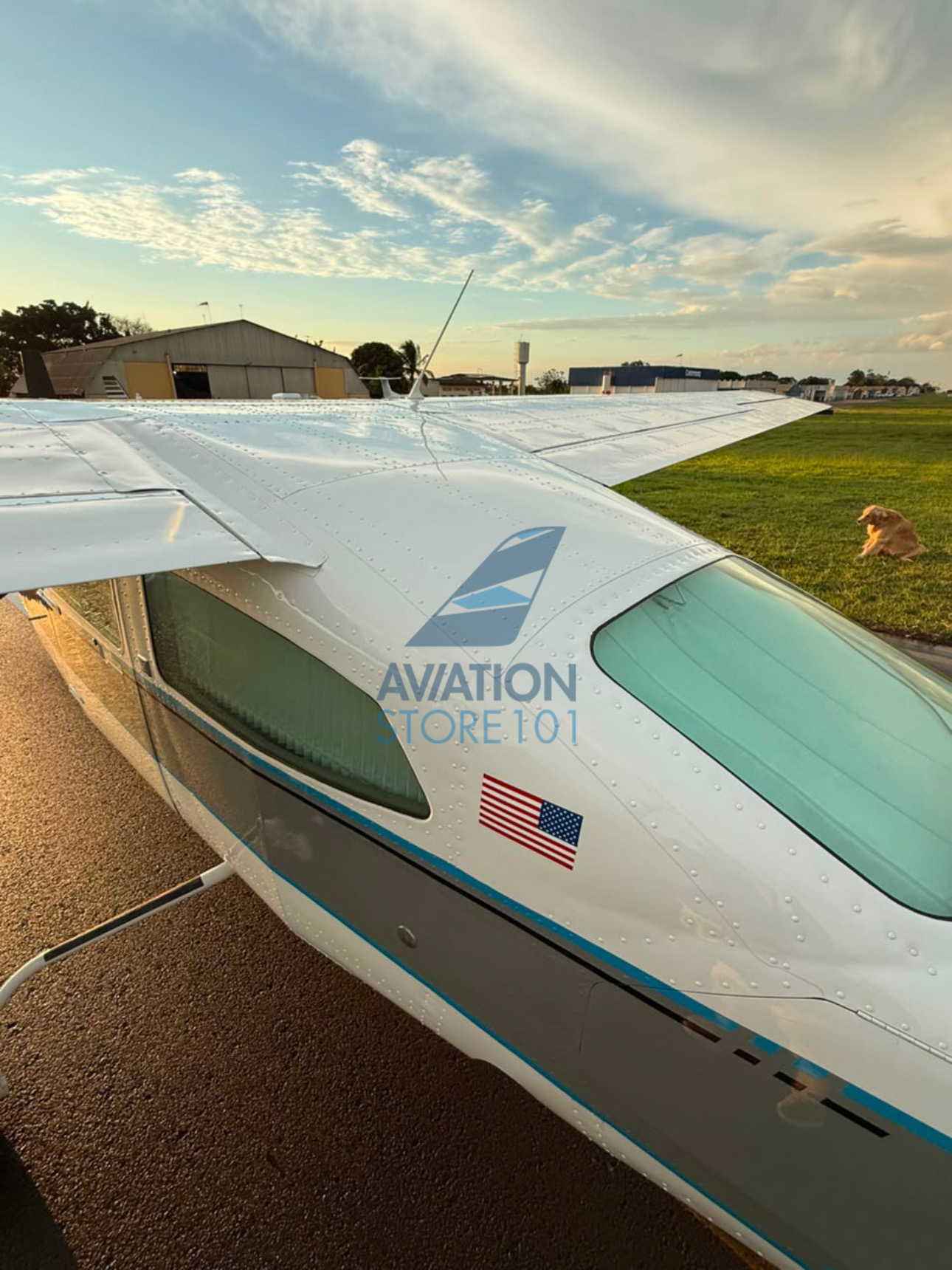 Avião Cessna 210N – Ano 1984 à Venda